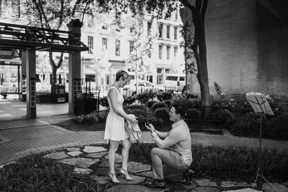 Planned Proposal