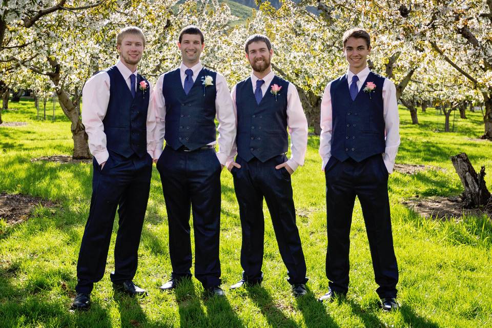 Wenatchee | Apple Orchard