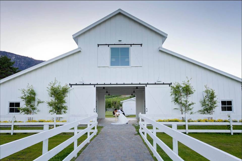 Harmony Meadows | Portraits