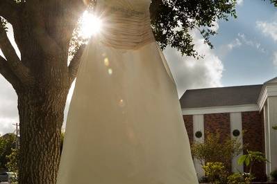 Bride's dress shot