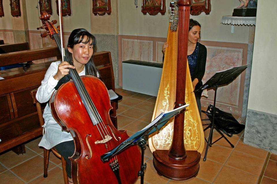 Cello & Harp