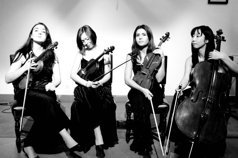 Strings Quartet