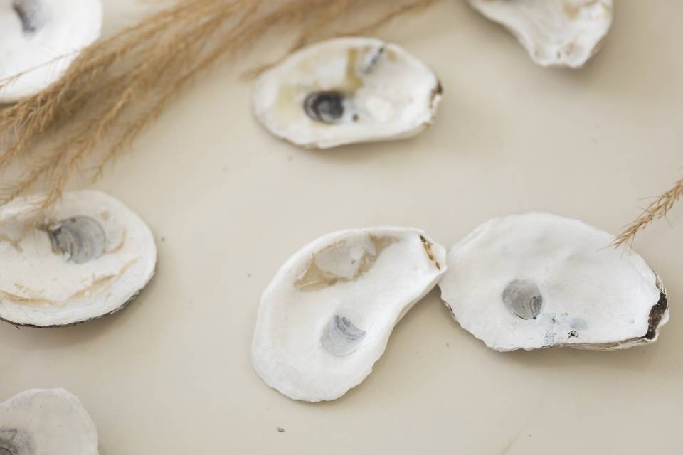 Oyster Shell Decor