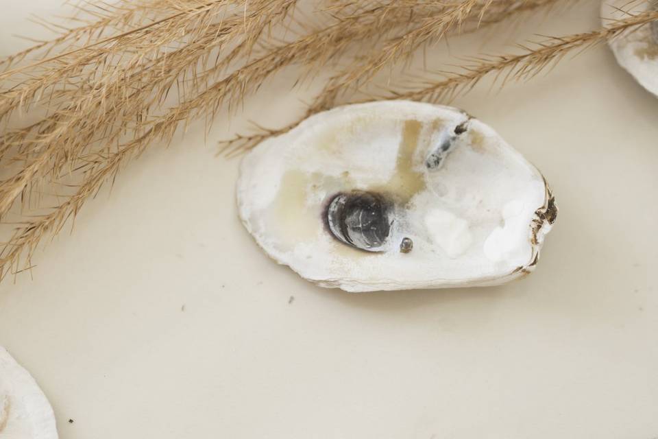 Oyster Shell Decor