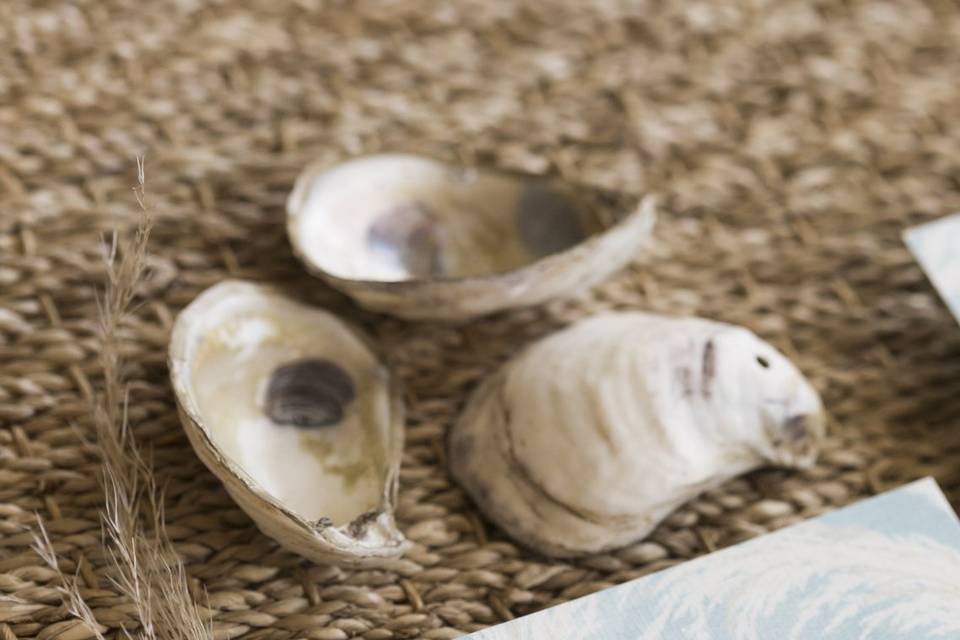 Oyster Shell Decor