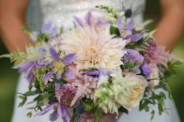 Dahlia love