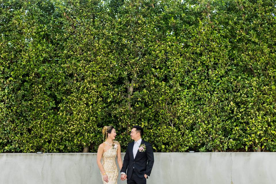 Boxwood Backdrop