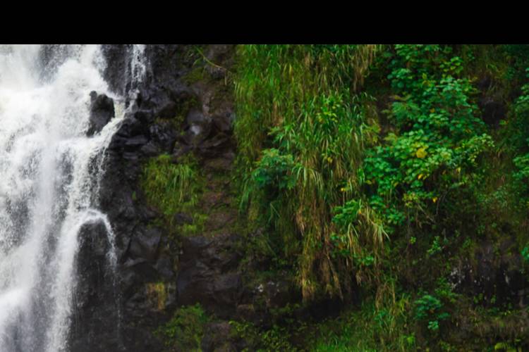 Waterfall wedding Hilo