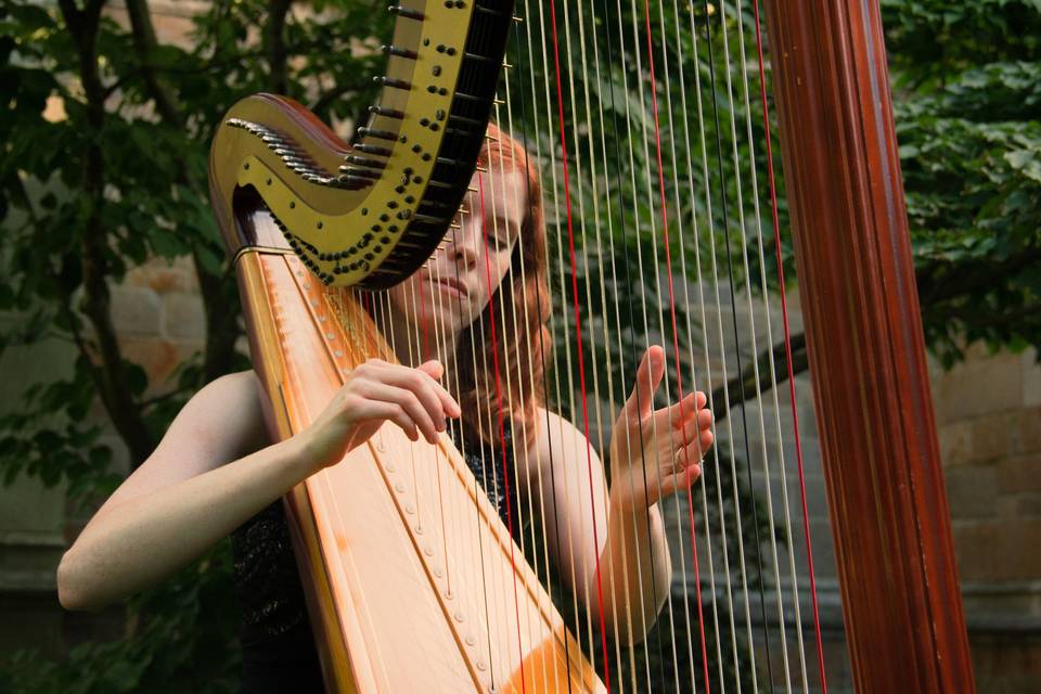 Bethany Lancaster - Harpist