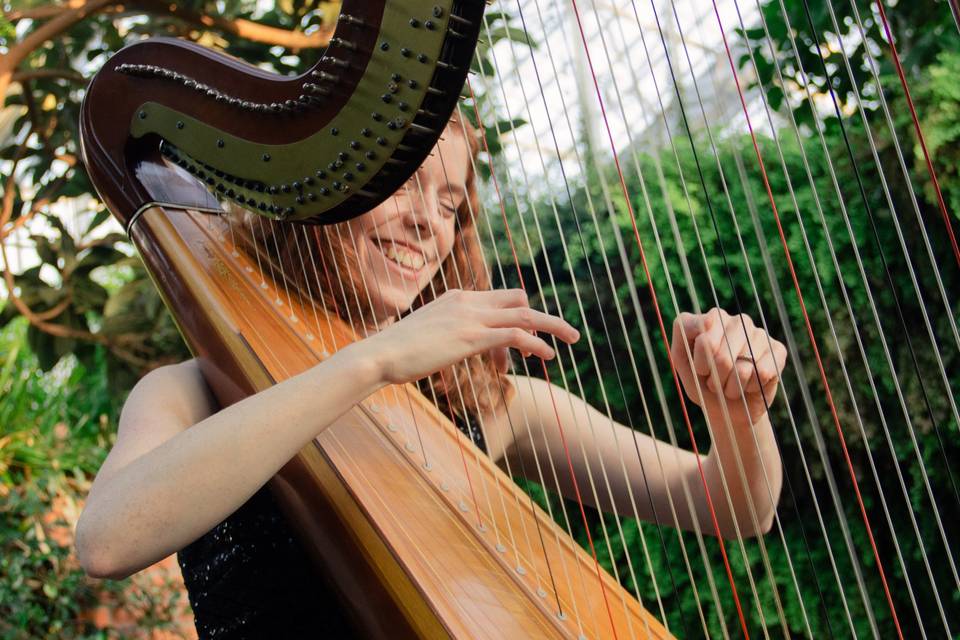 Bethany Lancaster - Harpist