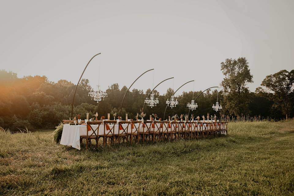 Magical Reception in a field