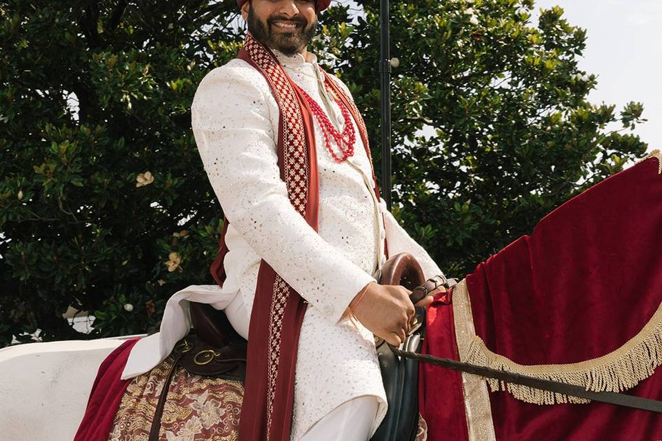 Baraat Horse