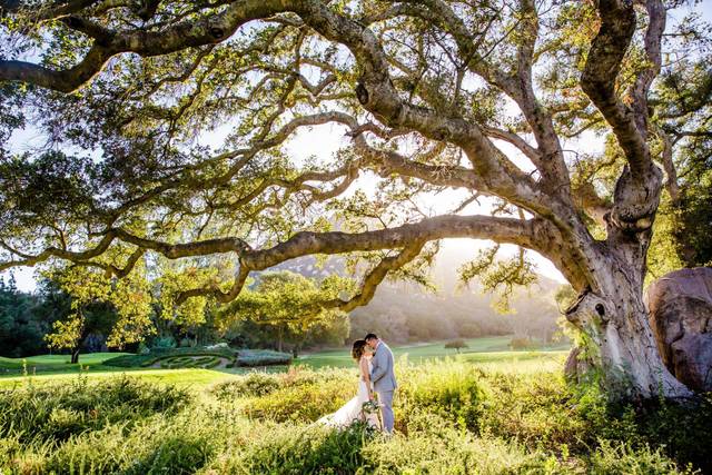 Wedding Pics