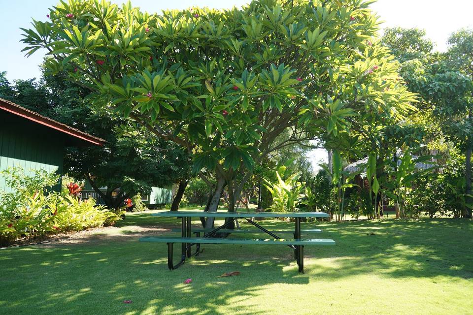 Nona Lani Cottages bench