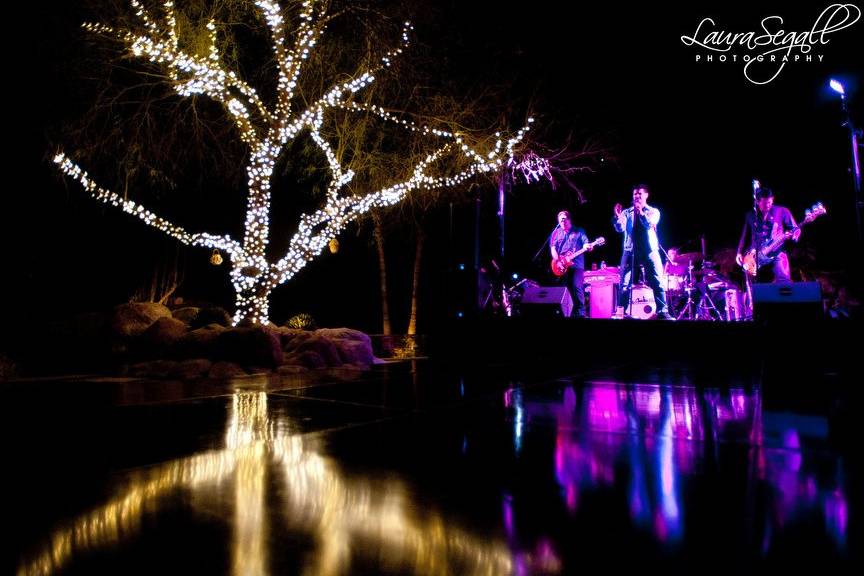 Dancing Under the Moonlight