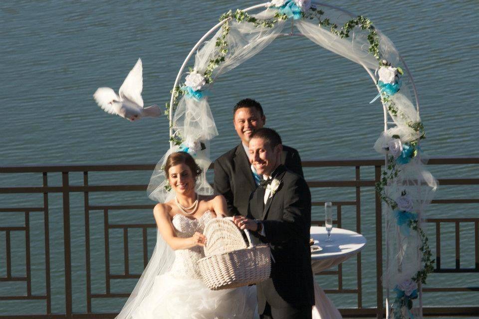 Dove Release at Westin Kierland