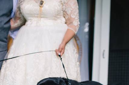 Brides' dog