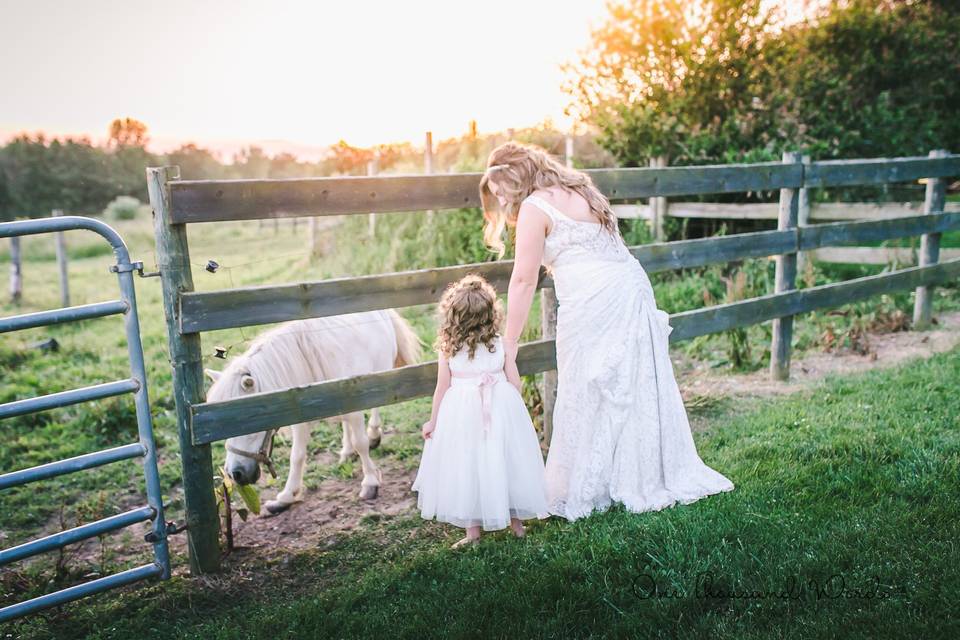 Blue Dress Barn