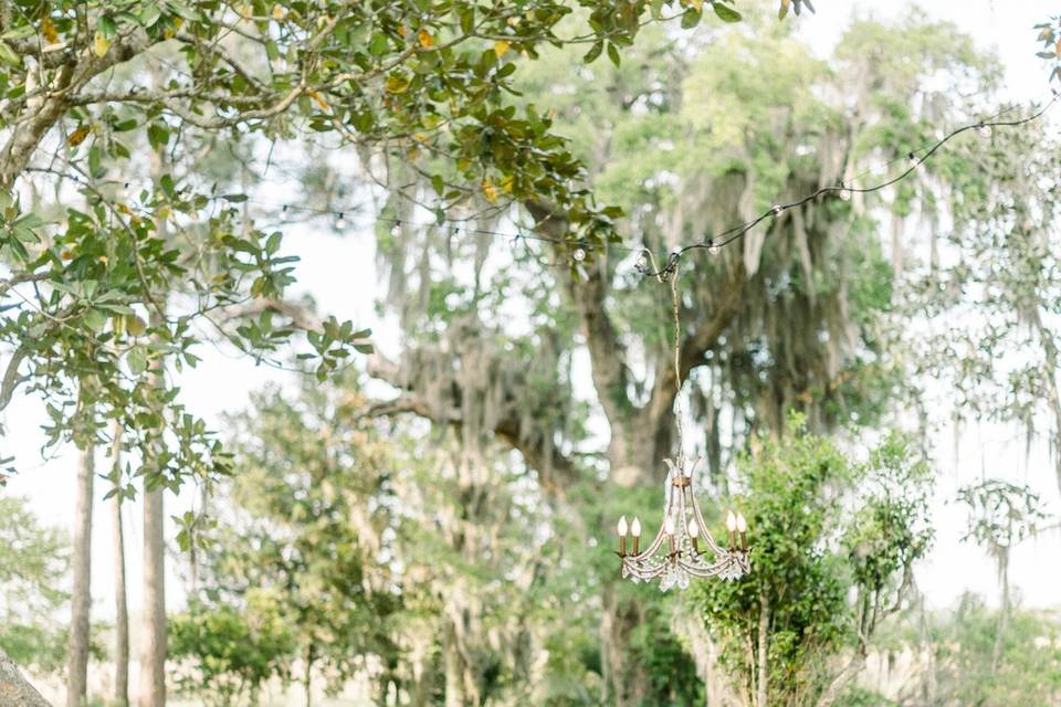 Runnymeade plantation wedding