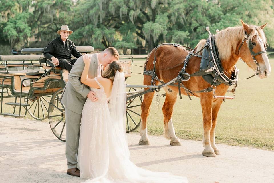 Middleton Place Wedding Day