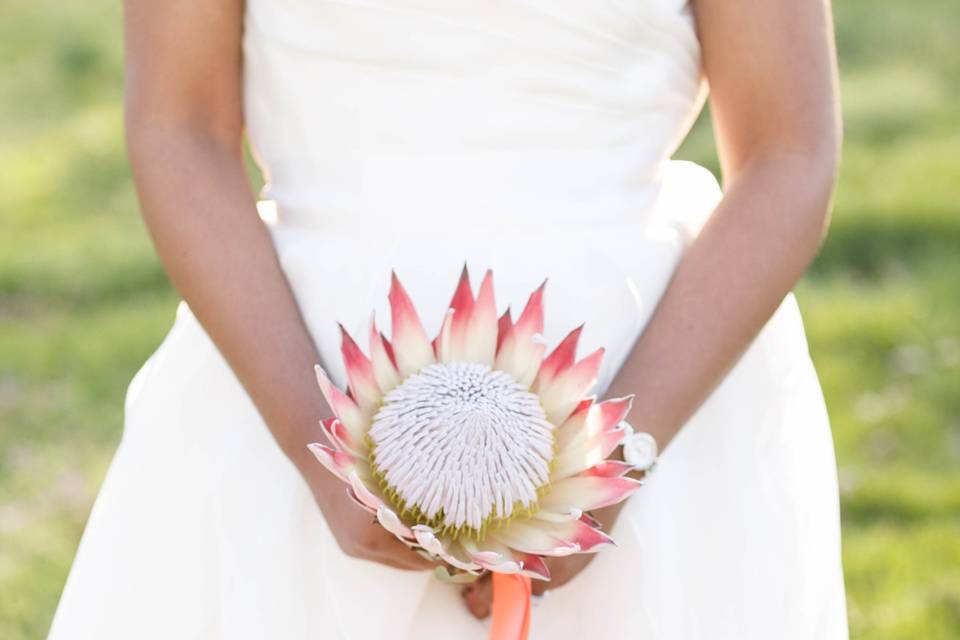 RVA Weddings