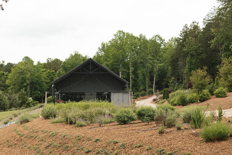 Hydrangea Hall