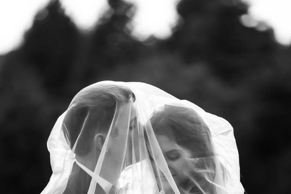 Bride and groom under veil