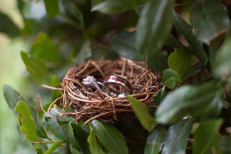 Koa Wood Rings