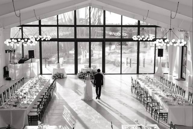 Bride and Groom Portraits