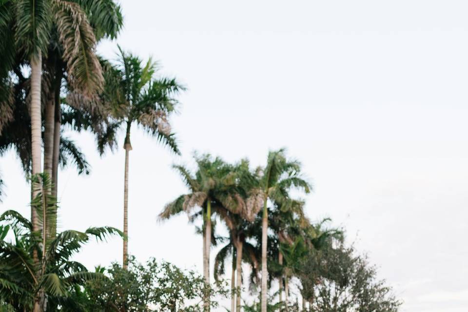 Bride and Groom Portraits