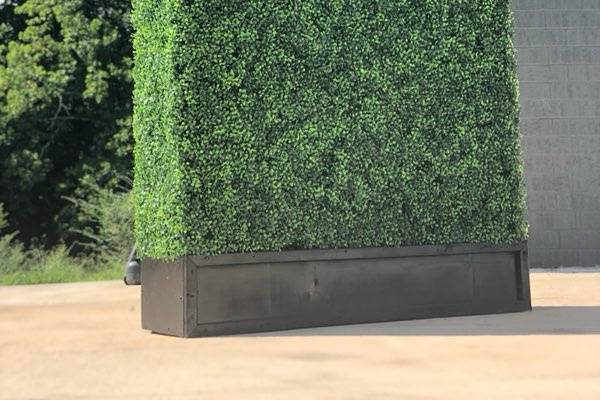 Hedge Wall Rental