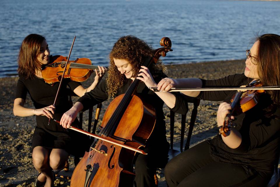 Legacy String Trio