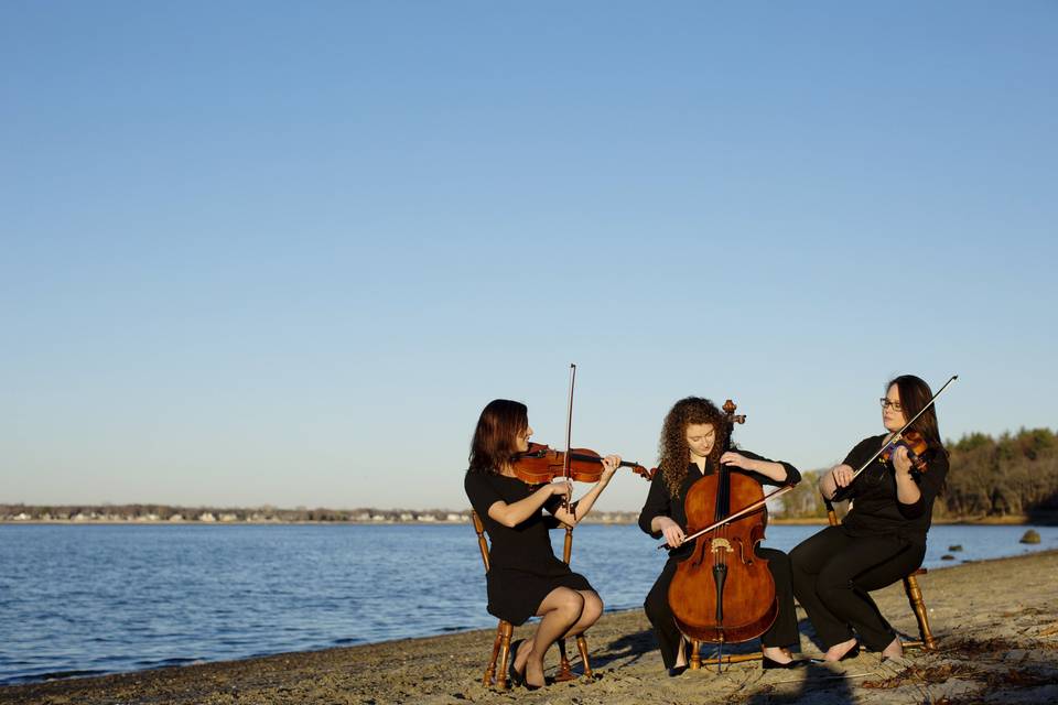 Legacy String Trio