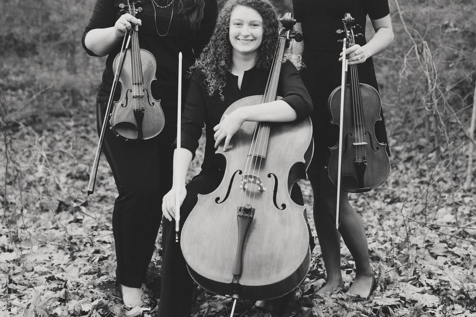 Legacy String Trio