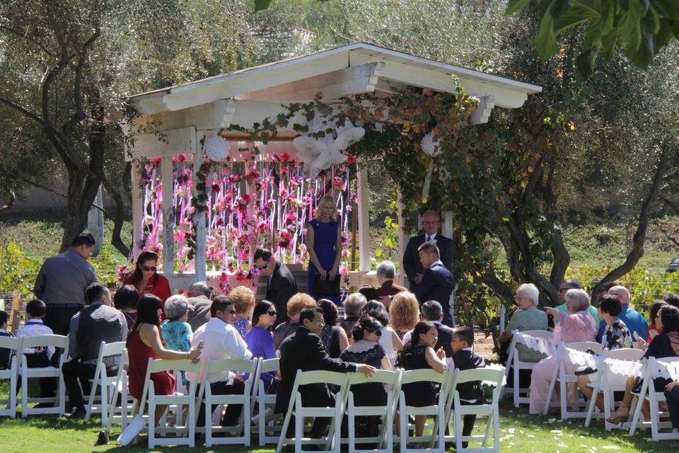 The bride and groom