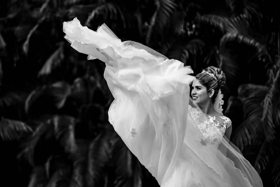 Wedding Photographer Mexico