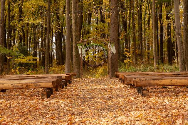 Forest ceremony site in fall