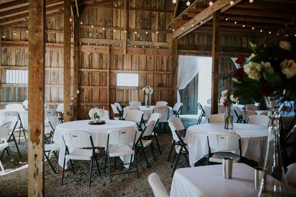 Inside Moonlit Farms