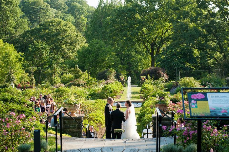 Morris Arboretum