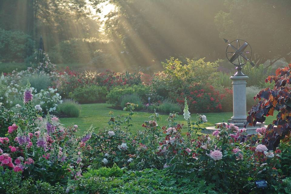 Morris Arboretum