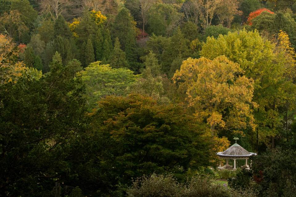 Morris Arboretum