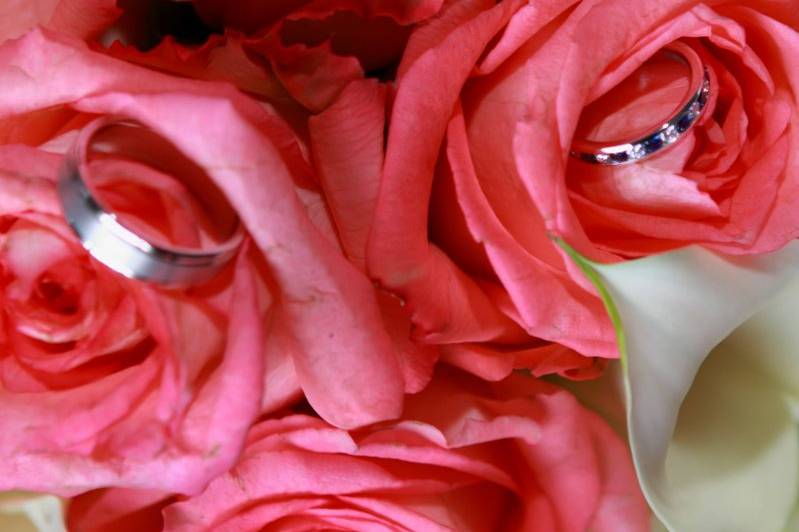 Lady Slipper Creations - Innovative Floral Design LLC