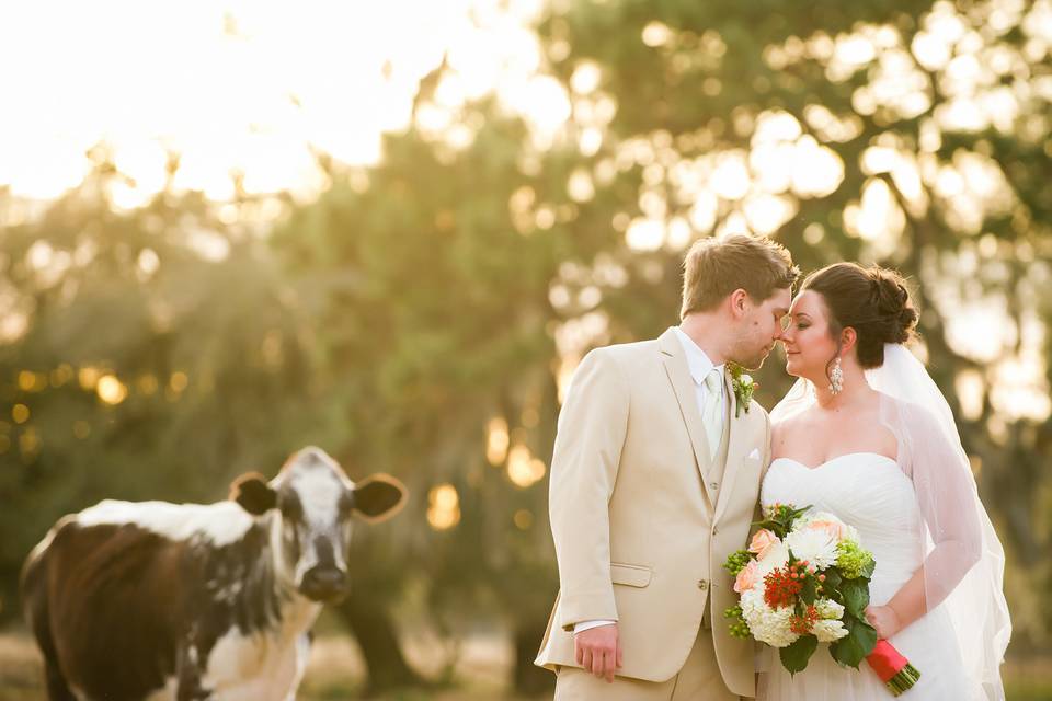 Rustic wedding in Lakeland at the Rocking H Ranch