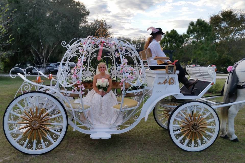 Fairytale Carriage