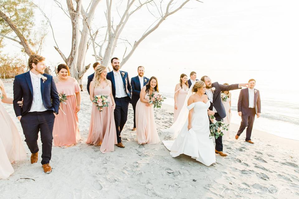 Wedding Party on the Beach