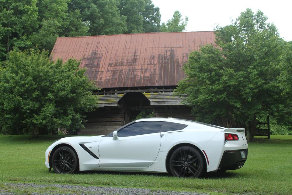 Barn vette