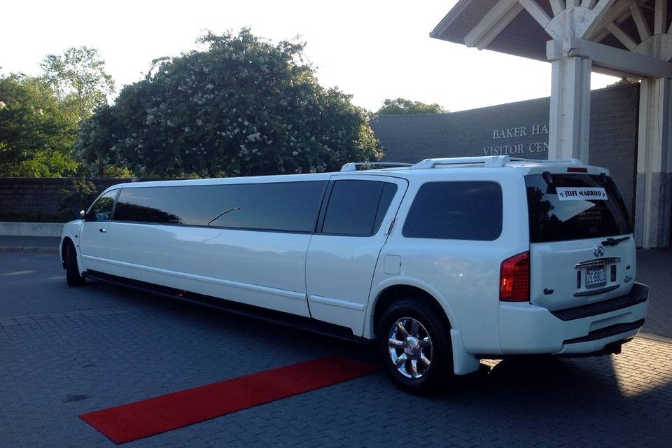 VIP Style Limousines, LLC