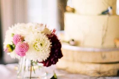 You Look Nice Today Photography