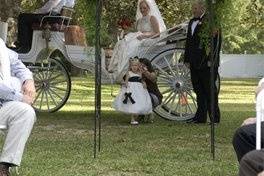 Bride in the carriage
