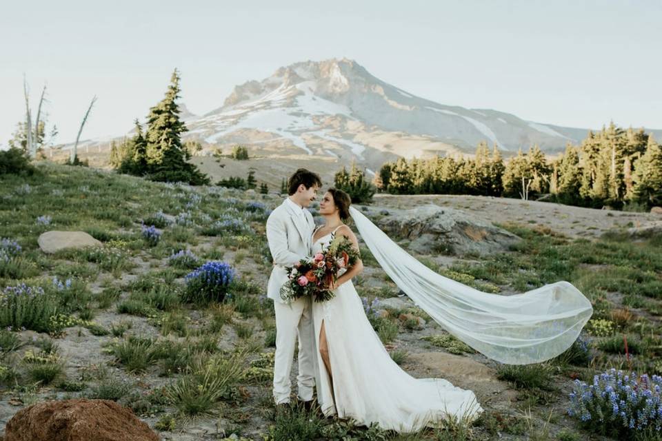 Summer Mt. Hood views